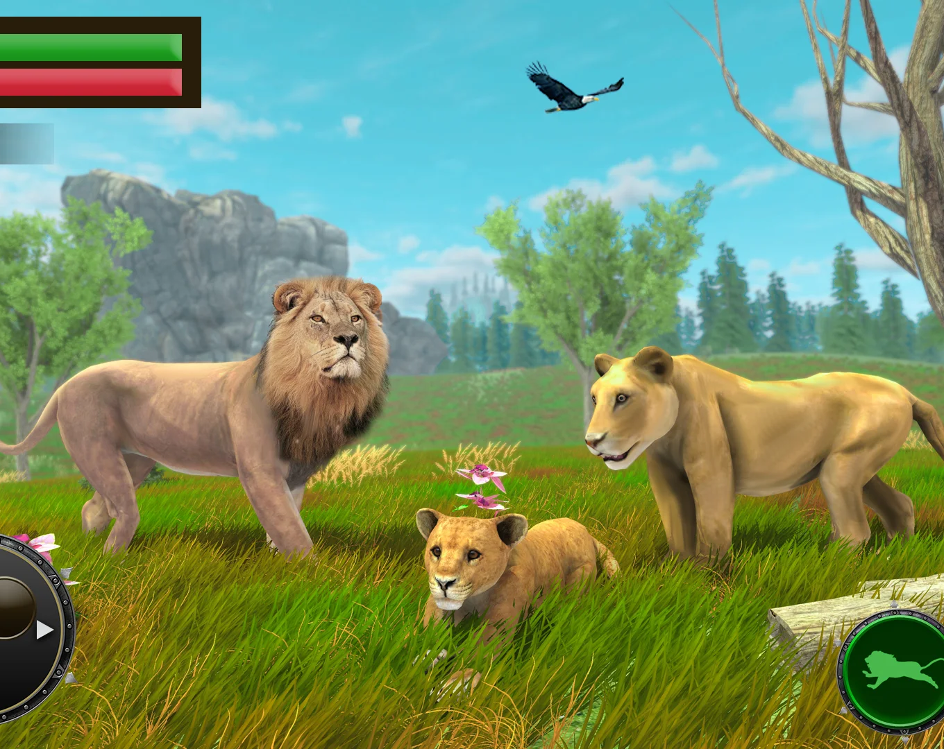 Jungle Kings Kingdom Lion